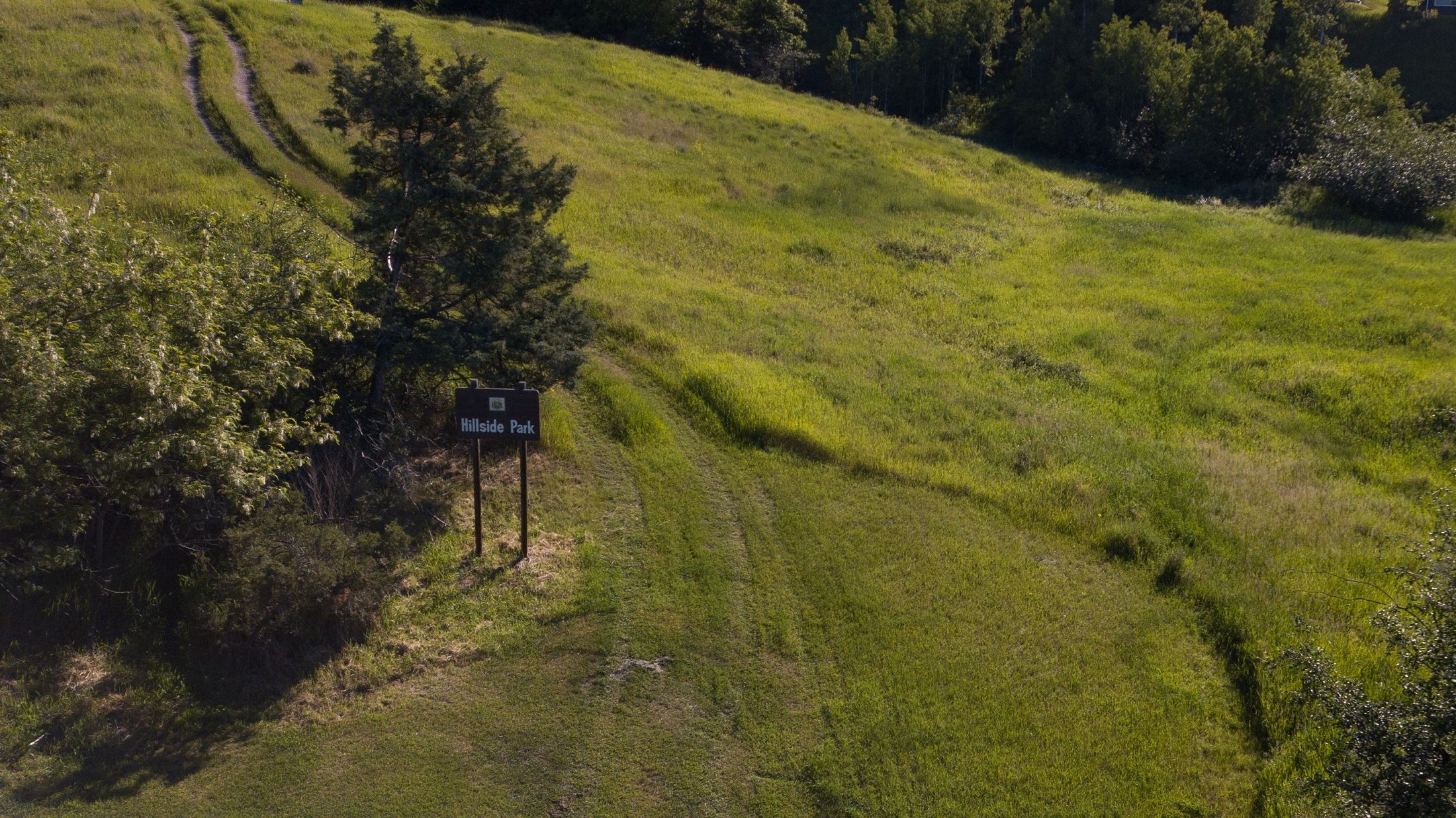 Hillside 1