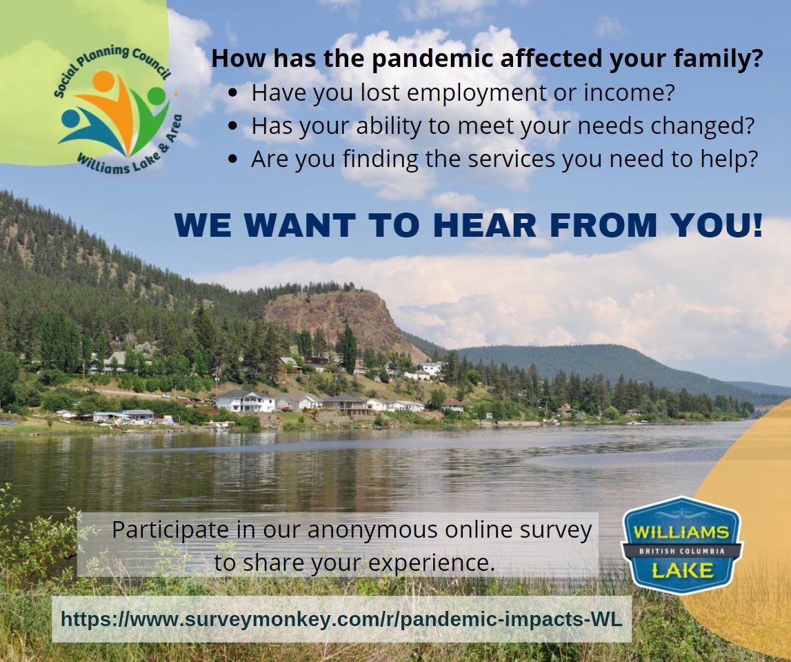 CovidSurvey