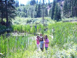 Children on a hike