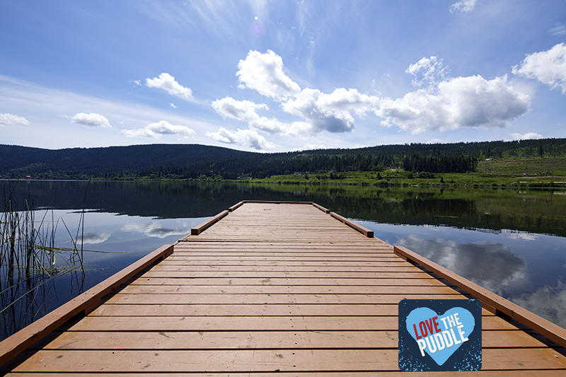 Dock